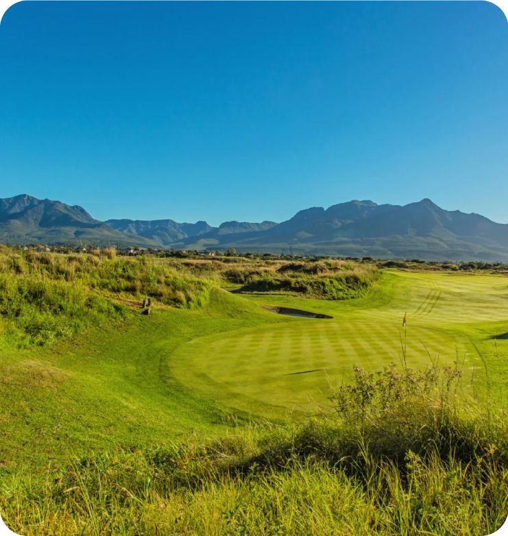 The Links